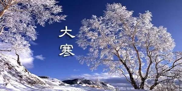 救援卷耳兔